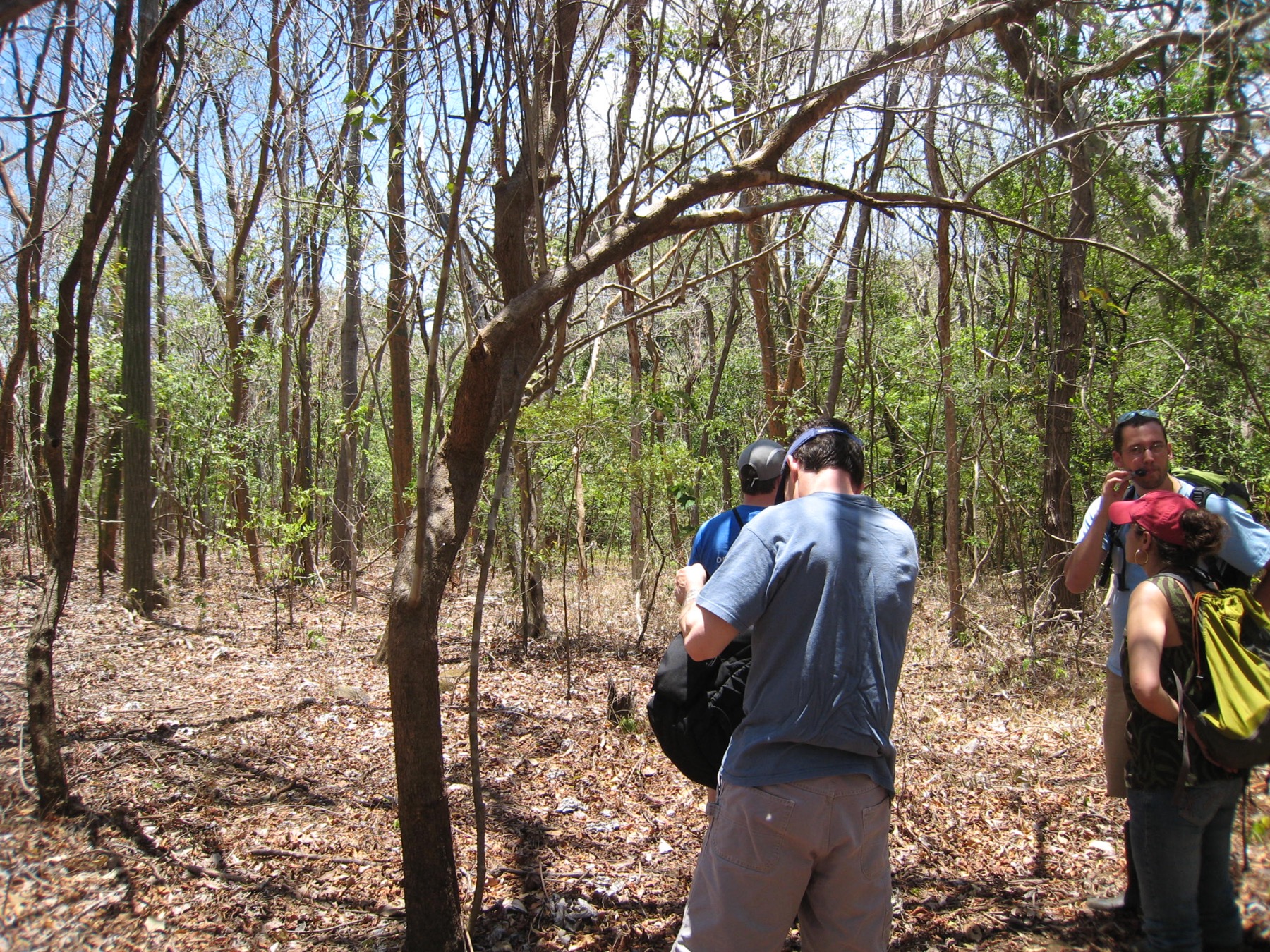 Researchers visiting the plot during the dry season